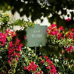 Seaside Elegance And Tranquility: Your Luxurious Getaway Bed and Breakfast