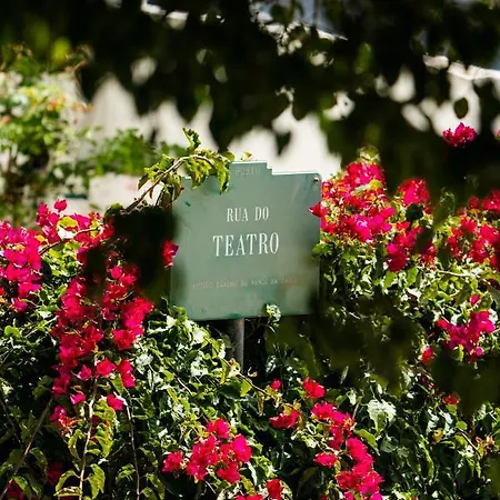 Seaside Elegance And Tranquility: Your Luxurious Getaway Отель типа 