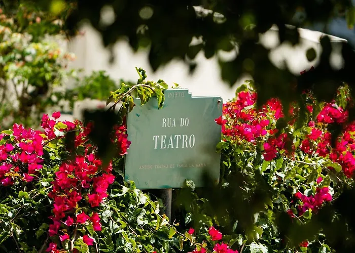 B&B Seaside Elegance And Tranquility: Your Luxurious Getaway *