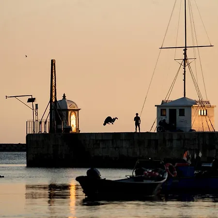 Seaside Elegance And Tranquility: Your Luxurious Getaway Bed & Breakfast