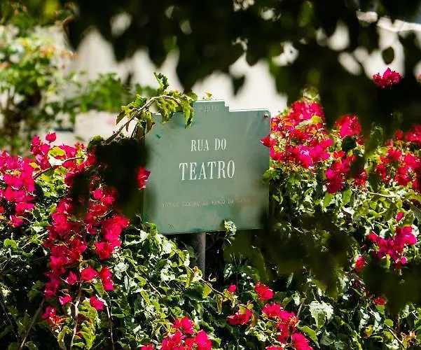 Seaside Elegance And Tranquility: Your Luxurious Getaway Frühstückspension